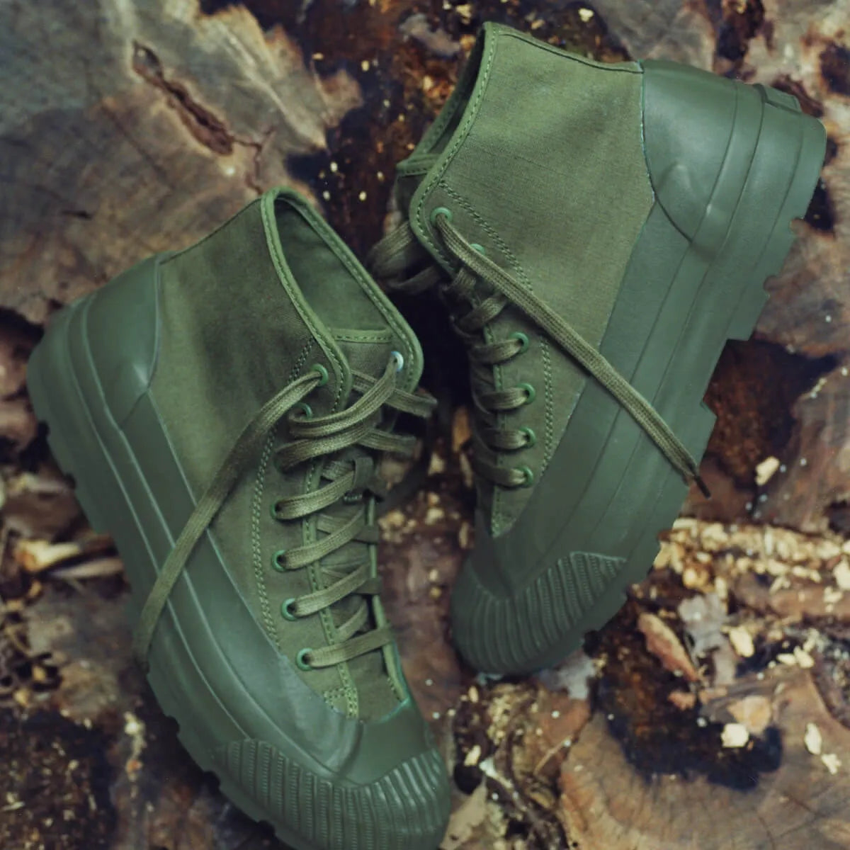 Olive